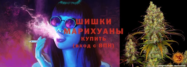крисы Лагань