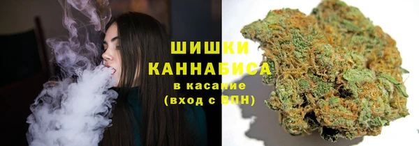дурь Лиски