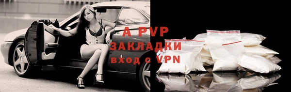 стафф Лабытнанги