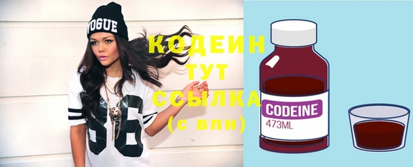 крисы Лагань