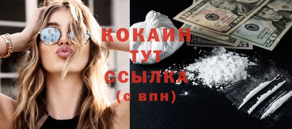 крисы Лагань