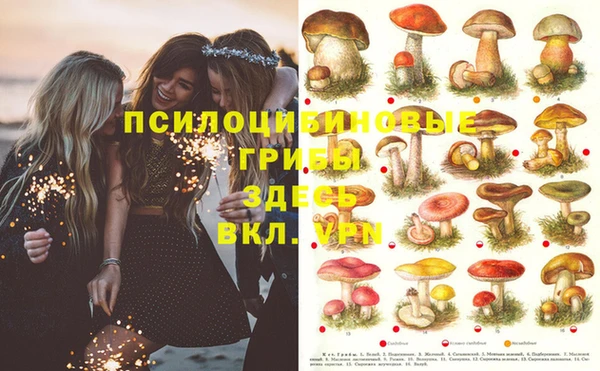 стафф Лабытнанги