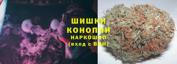 стафф Лабытнанги
