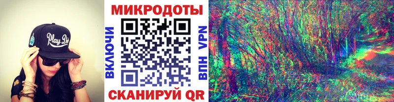 Галлюциногенные грибы Psilocybe  где купить наркоту  Макаров 